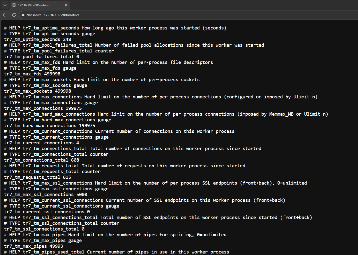Prometheus Metric Output Example