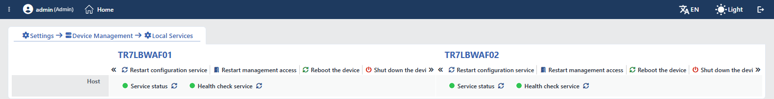 The Local Services Screen (Cluster)